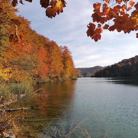 Plitvice Lakes Konak Daic Езерца Экстерьер фото